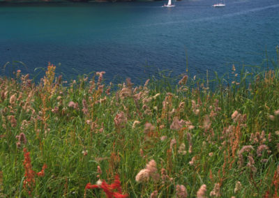 Yealm estuary mouth